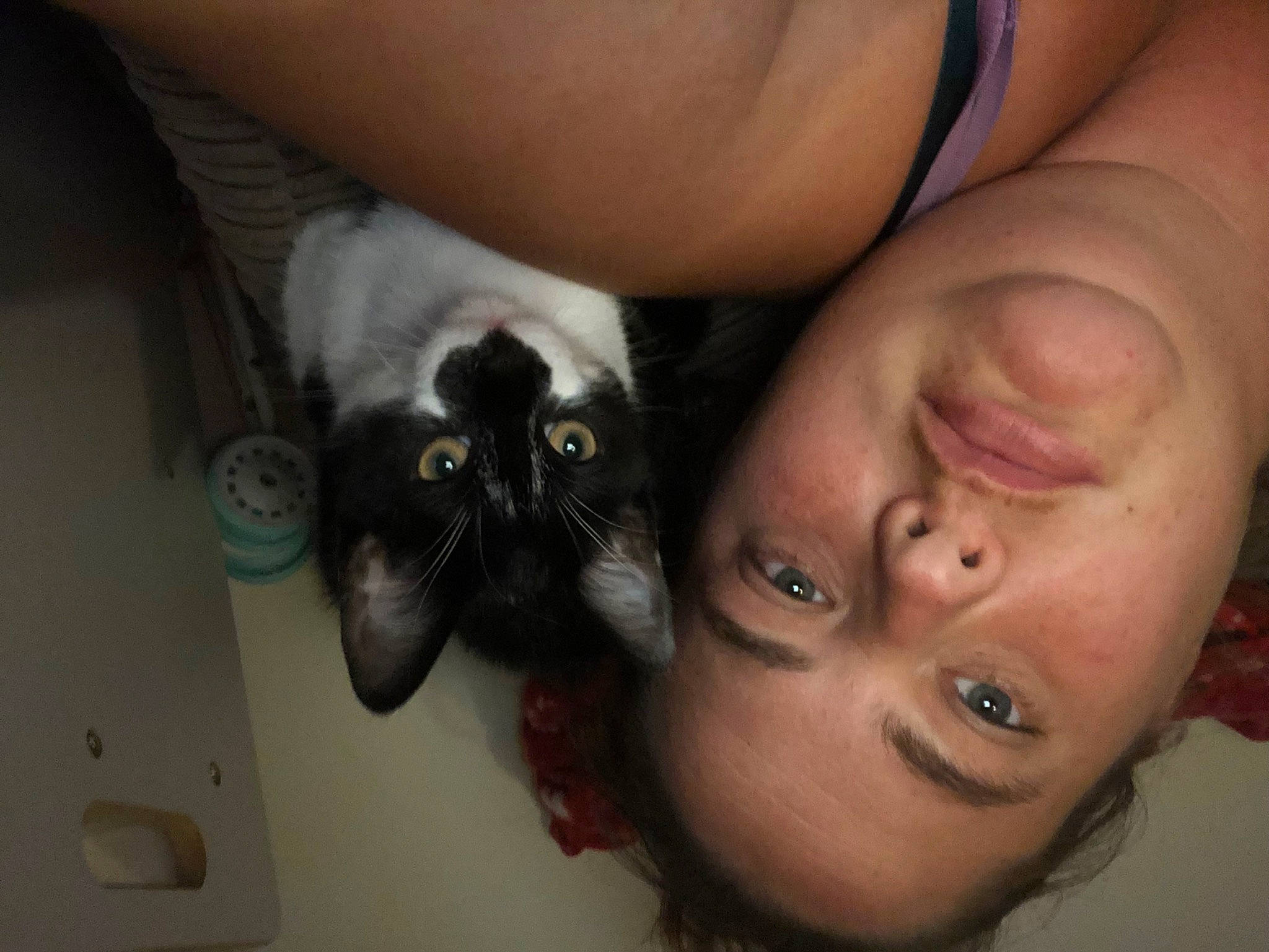 Orca joined the competition — help win amazing prizes! cat, ear, eye, finger, hand, head, mouth, nail, nose, selfie