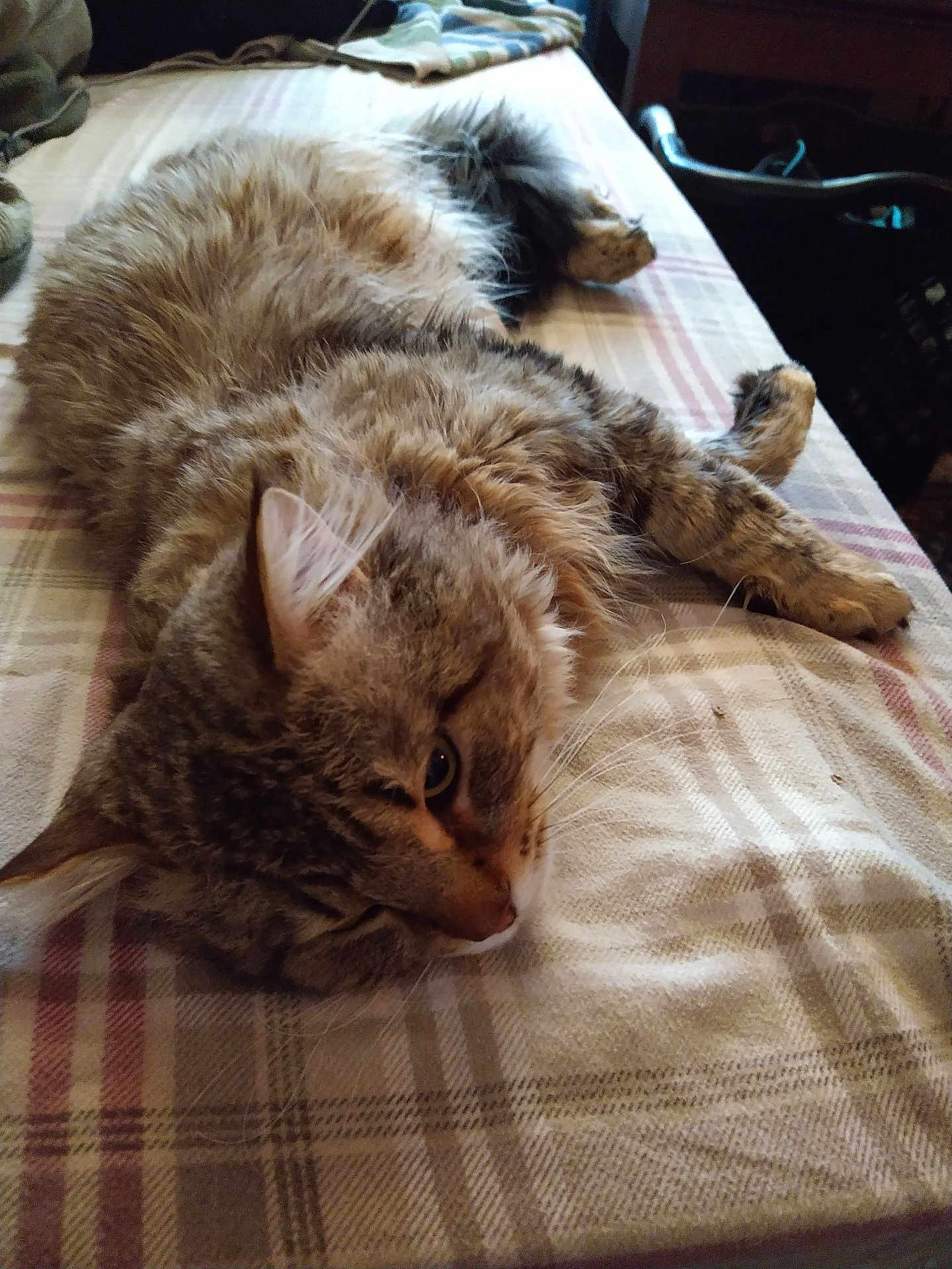 Ragnar