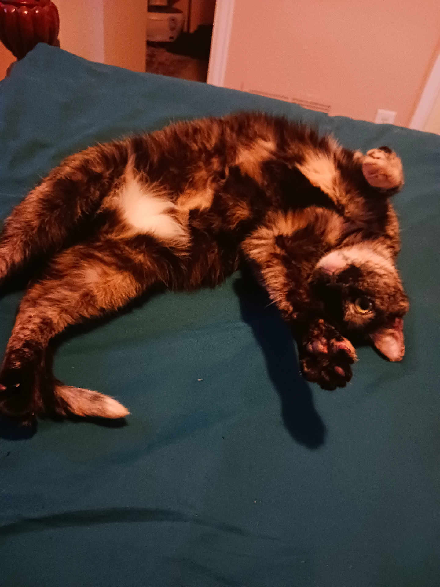 Ellie