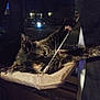 Ellie is registered to the contest to win money with this photo: animal, cat, cozy, curtain, dark, domestic, feline, hammock, house, indoor, lights, night, paw, pet, playful, relaxing, resting, string, tortoiseshell, window