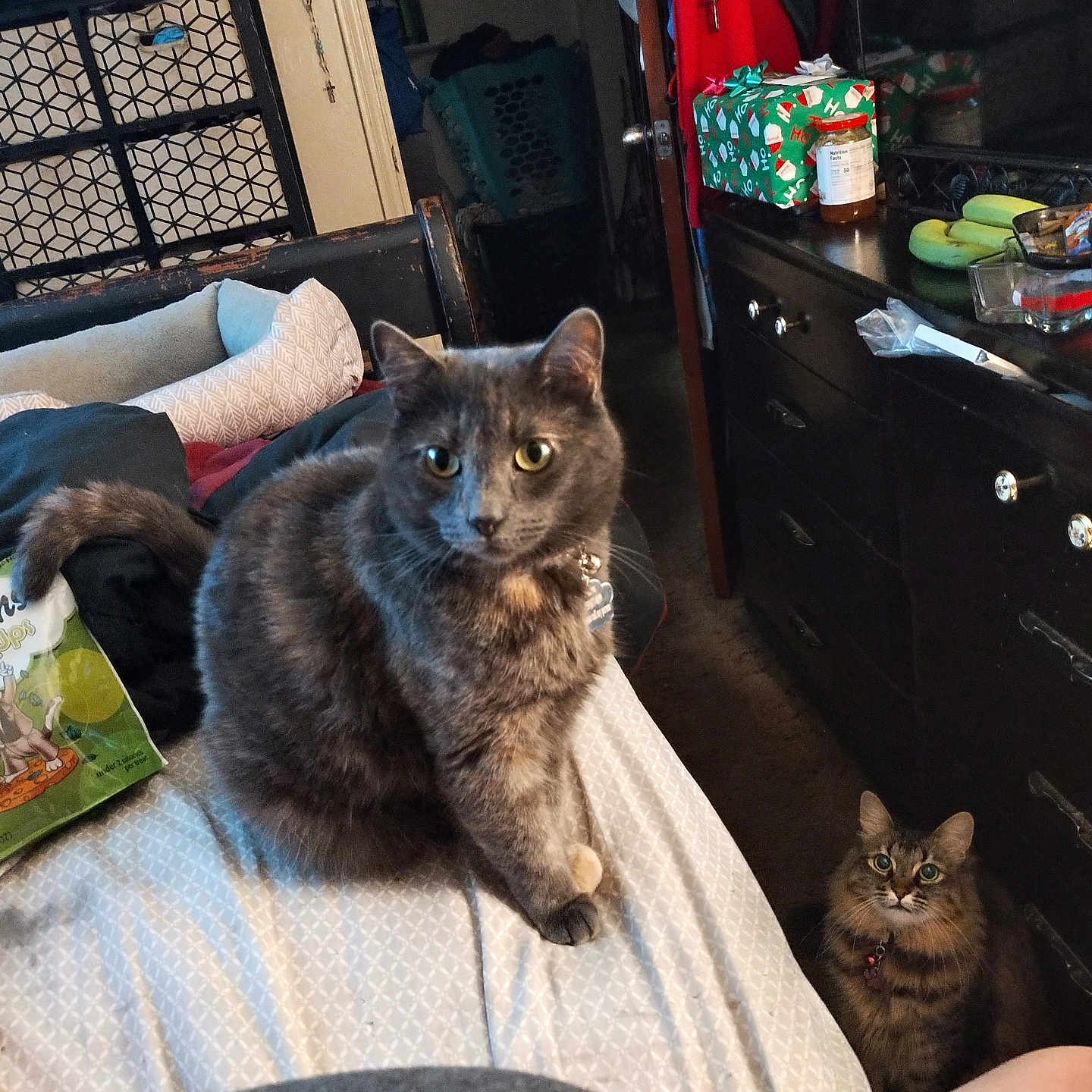 Mammas