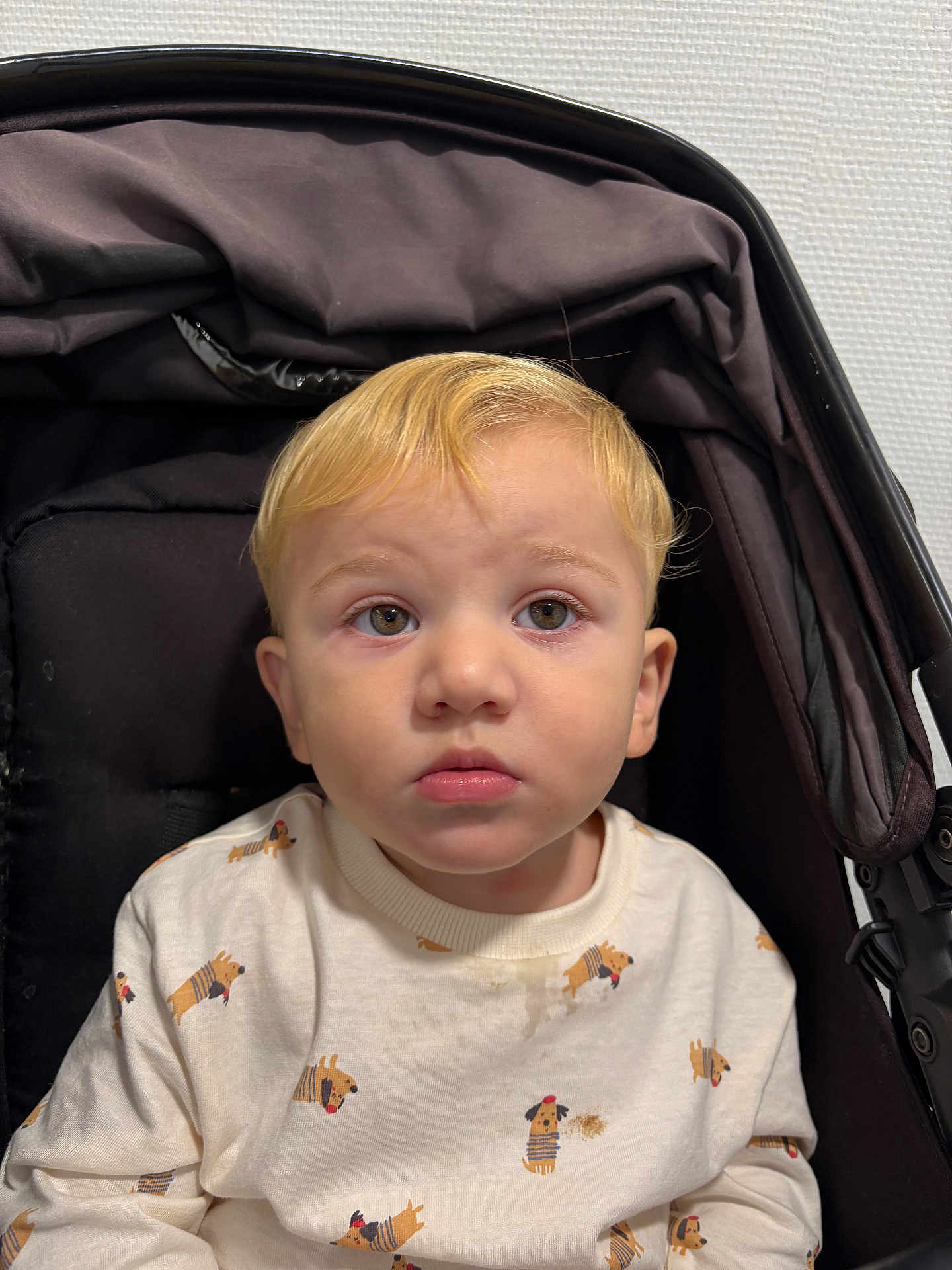 Adem participe au concours pour gagner de l'argent avec cette photo : toddler, child, stroller, blonde_hair, hazel_eyes, shirt, dog_print, cream_color, curious, face, portrait, indoor, young_child, clothing, seated, baby, expression, person, casual, cute