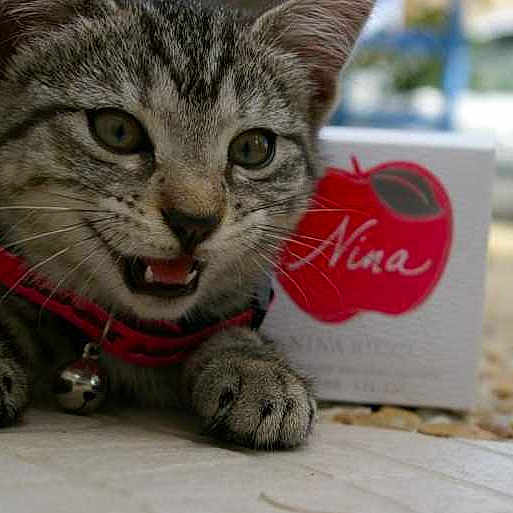 Nina