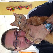 Boo participe au concours pour gagner de l'argent avec cette photo :