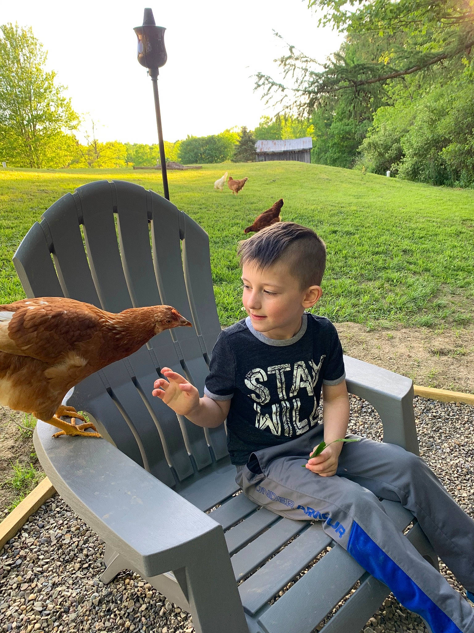 Gavin joined the competition — help win amazing prizes! bench, child, furniture, lawn, leaf, leisure, outdoor_furniture, person, plant, sitting, table, vacation