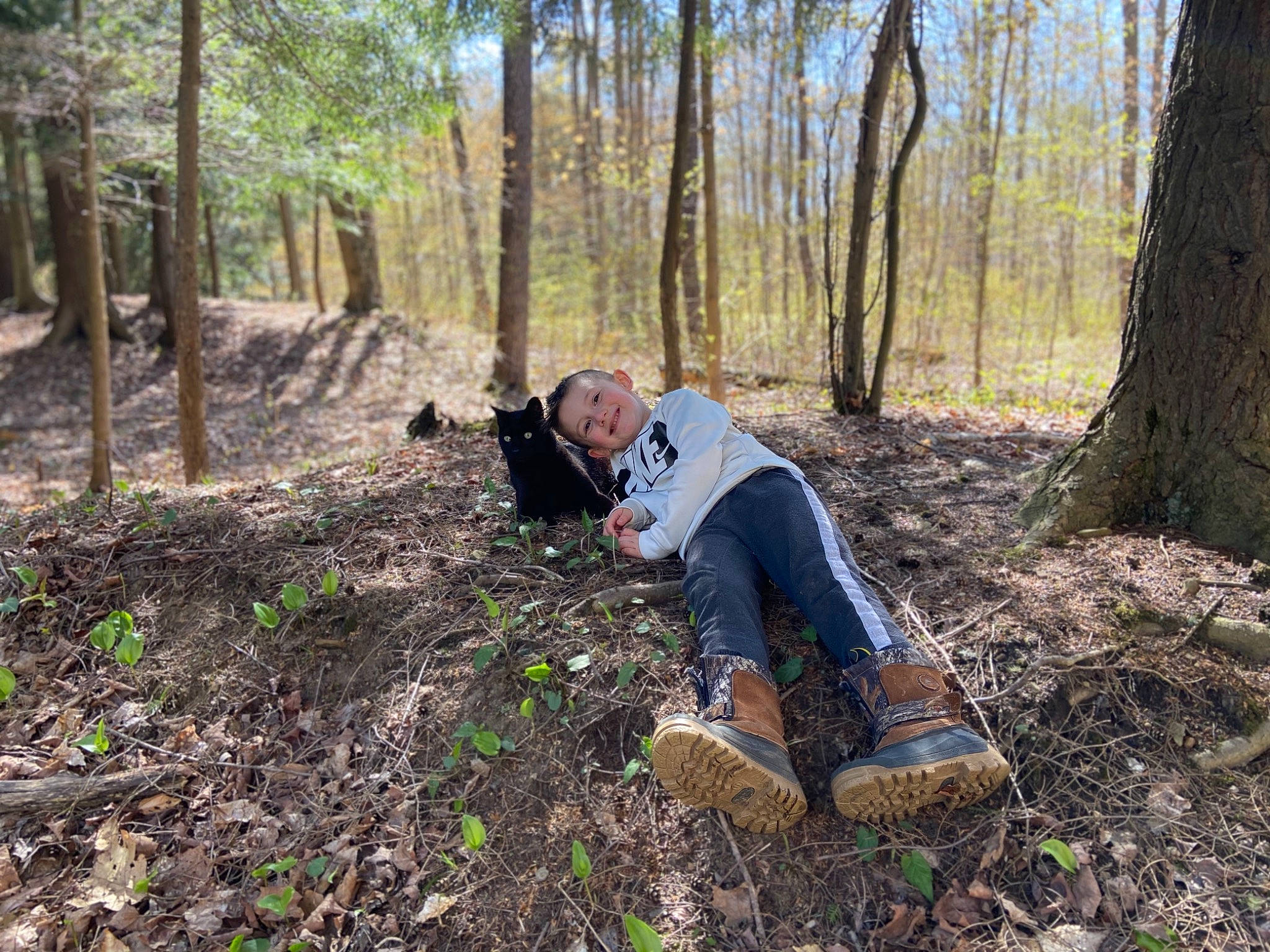 Gavin is registered to the contest to win money with this photo: adaptation, biome, forest, grove, joy, natural_environment, northern_hardwood_forest, old_growth_forest, person, plant, plant_community, soil, temperate_coniferous_forest, tree, trunk, wilderness, wood, woodland, woody_plant