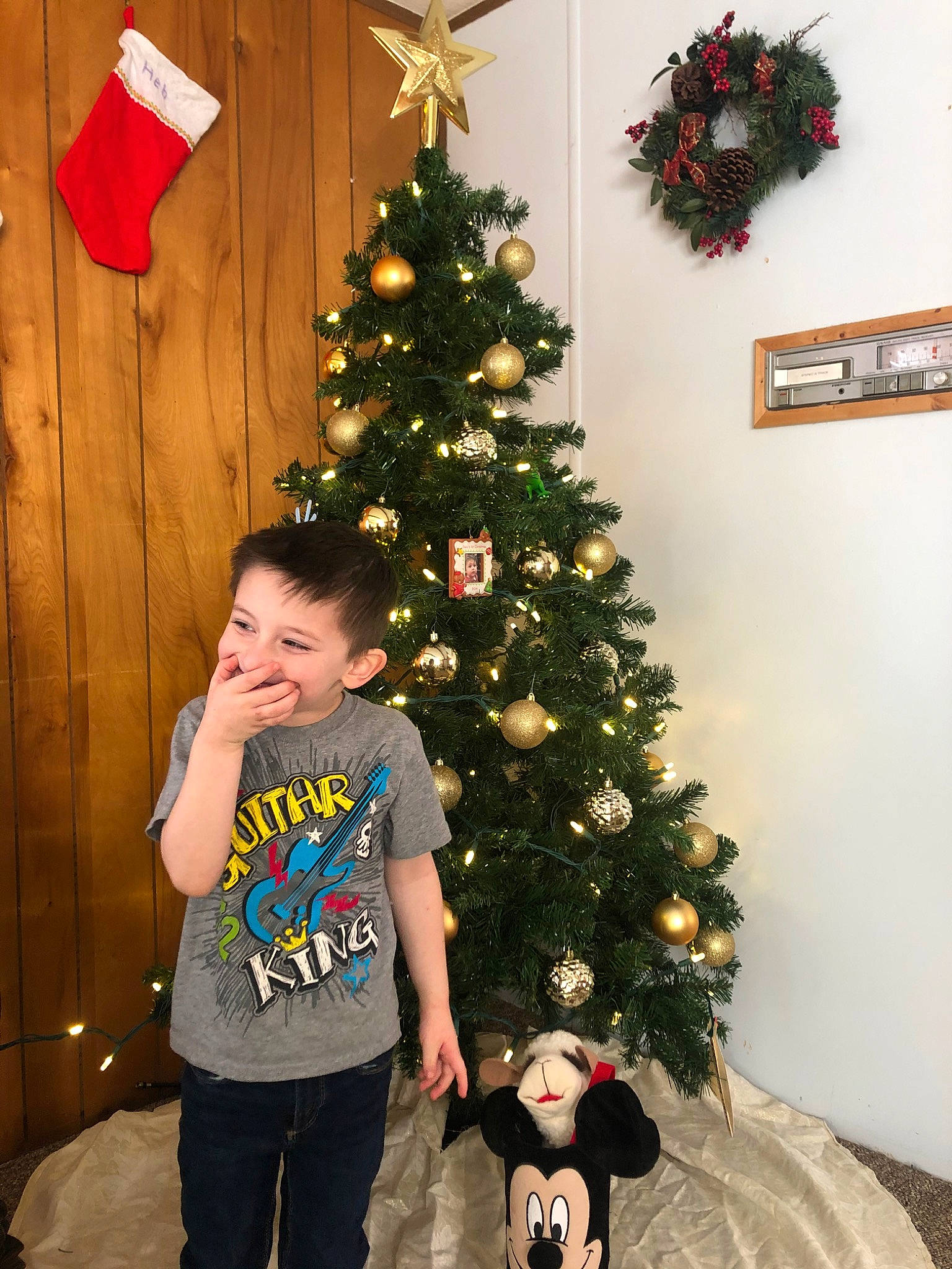 Gavin joined the competition — help win amazing prizes! child, christmas, christmas_decoration, christmas_eve, christmas_ornament, christmas_tree, colorado_spruce, conifer, event, fir, holiday, holiday_ornament, home, interior_design, joy, person, pine_family, plant, room, standing