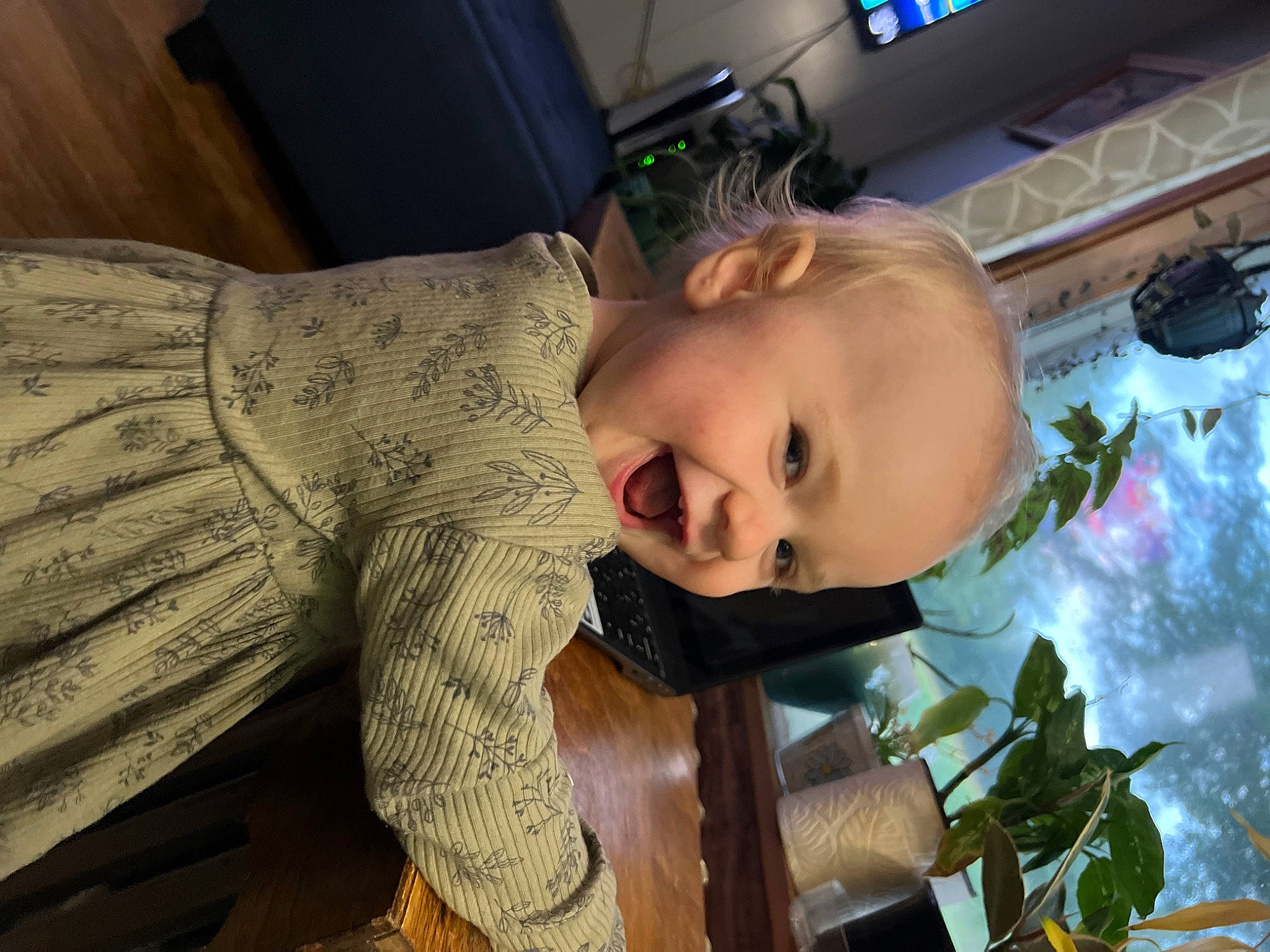 Charlotte is registered to the contest to win money with this photo: car_seat, child, eye, eyewear, fun, happy, leisure, luxury_vehicle, person, plant, sitting, smile, toddler, tree, vacation, vehicle_door, wood