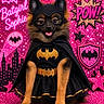 Sophie is registered to the contest to win money with this photo: dog, pomeranian, batgirl_costume, cape, mask, batman_logo, pink_background, sparkles, comic_style, text_overlay, dress, costume, pet, cute, portrait, animal, furry, superhero, glitter