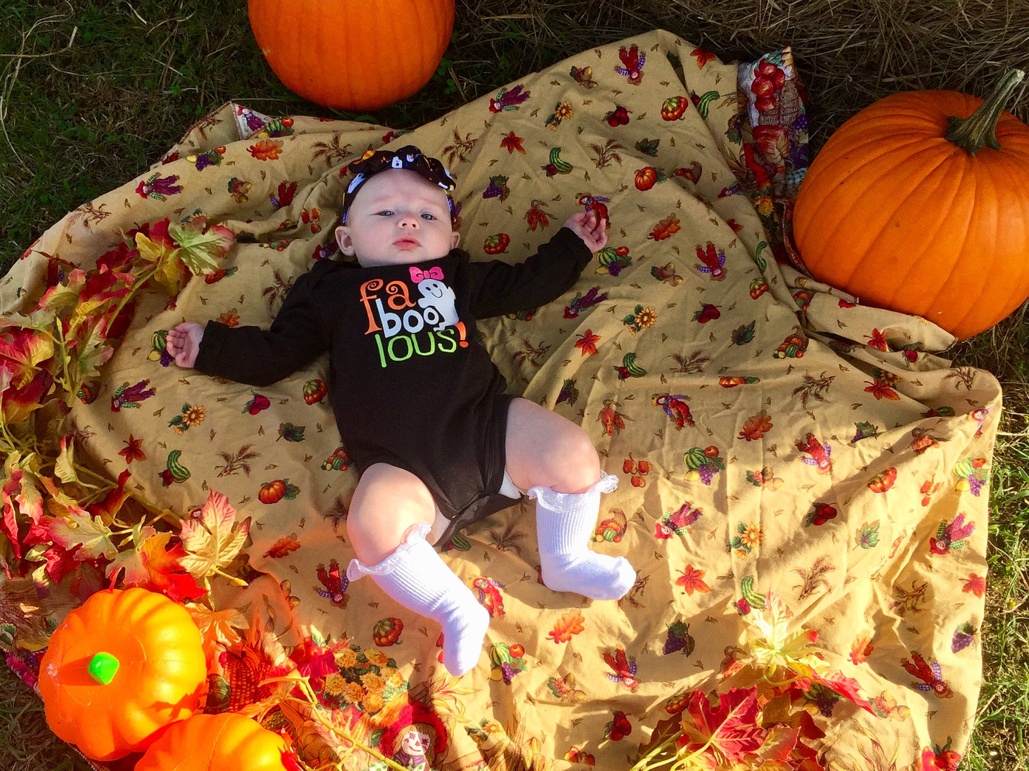 Harleigh is registered to the contest to win money with this photo: art, baby_toddler_clothing, calabaza, child, couch, cucurbita, gourd, grass, hat, leaf, local_food, natural_foods, orange, person, plant, pumpkin, sitting, squash, tree, vegetable