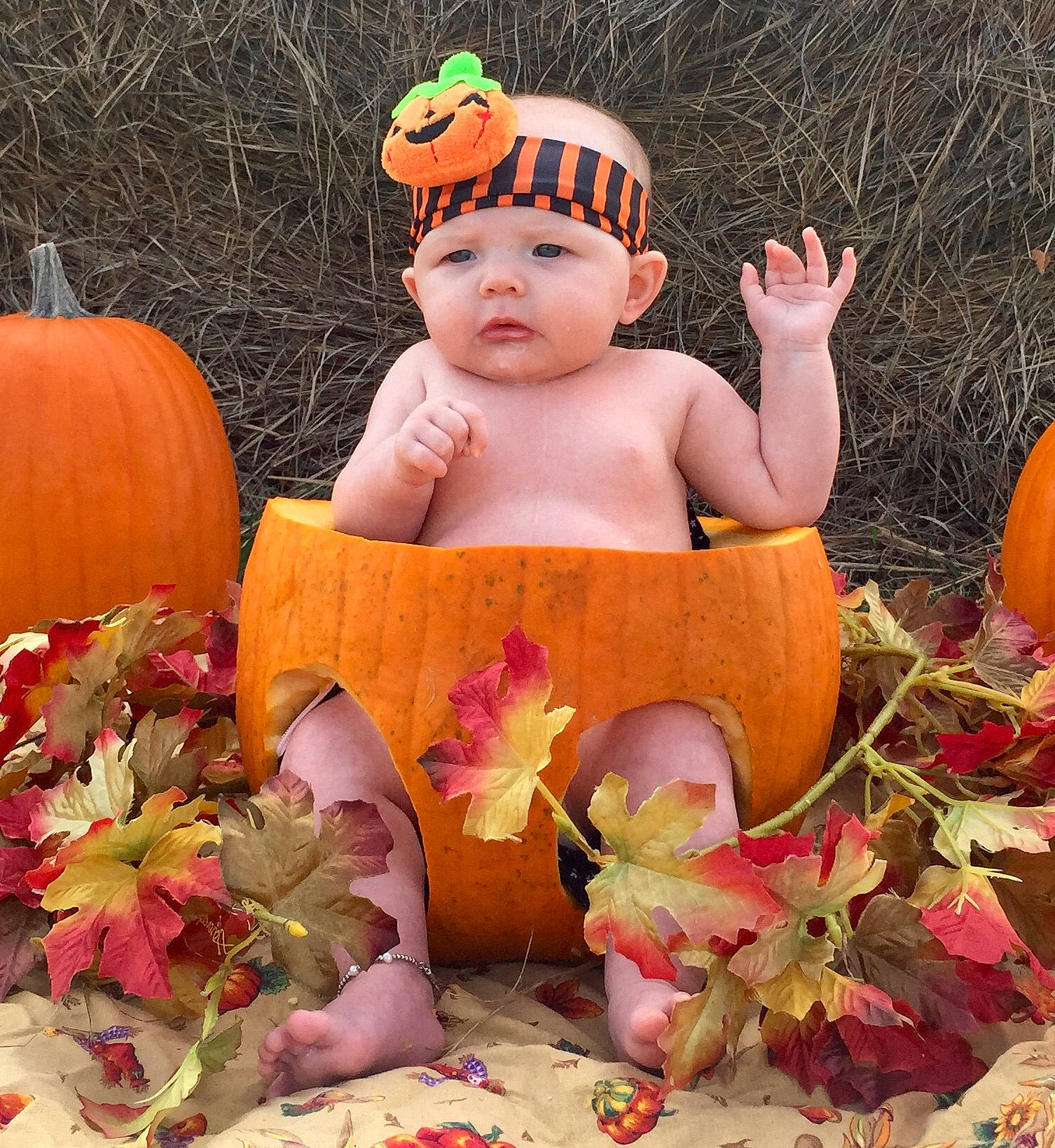 Harleigh joined the competition — help win amazing prizes! abdomen, baby, botany, calabaza, chest, child, doll, facial_expression, grass, happy, headwear, leaf, orange, organ, people_in_nature, person, plant, pumpkin, sitting, spring