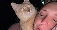 Zeus is registered to the contest to win money with this photo: cat, person, face, sleeping, snuggling, bed, pillow, blanket, bedroom, indoors, pet, companion, relaxed, closeup, portrait, whiskers, feline, human, cozy, night