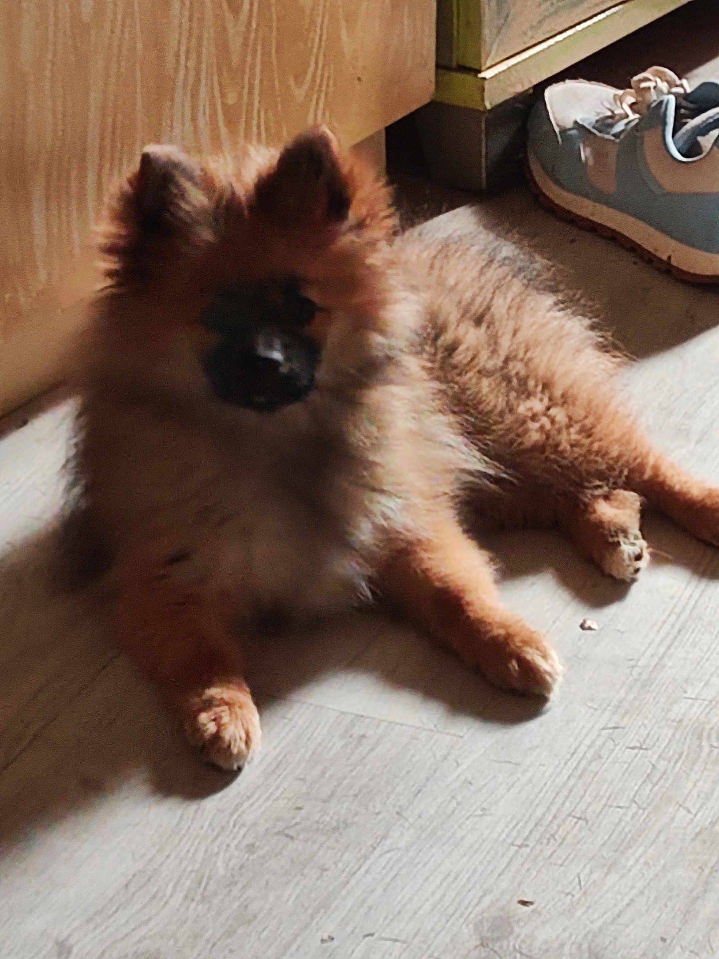 Aika