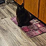 Waffles is registered to the contest to win money with this photo: animal, black_cat, cat, cozy, curious, domestic, feline, floor, fur, home, household, indoor, kitchen, mat, pet, quiet, relaxed, sitting, wooden_cabinets, yellow_eyes