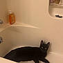 black_cat, bathtub, bathroom, cat, pet, animal, indoor, feline, toiletries, relaxing, alert, fur, yellow_eyes, clean, white, sink, soap, plastic_bottle, container, domestic