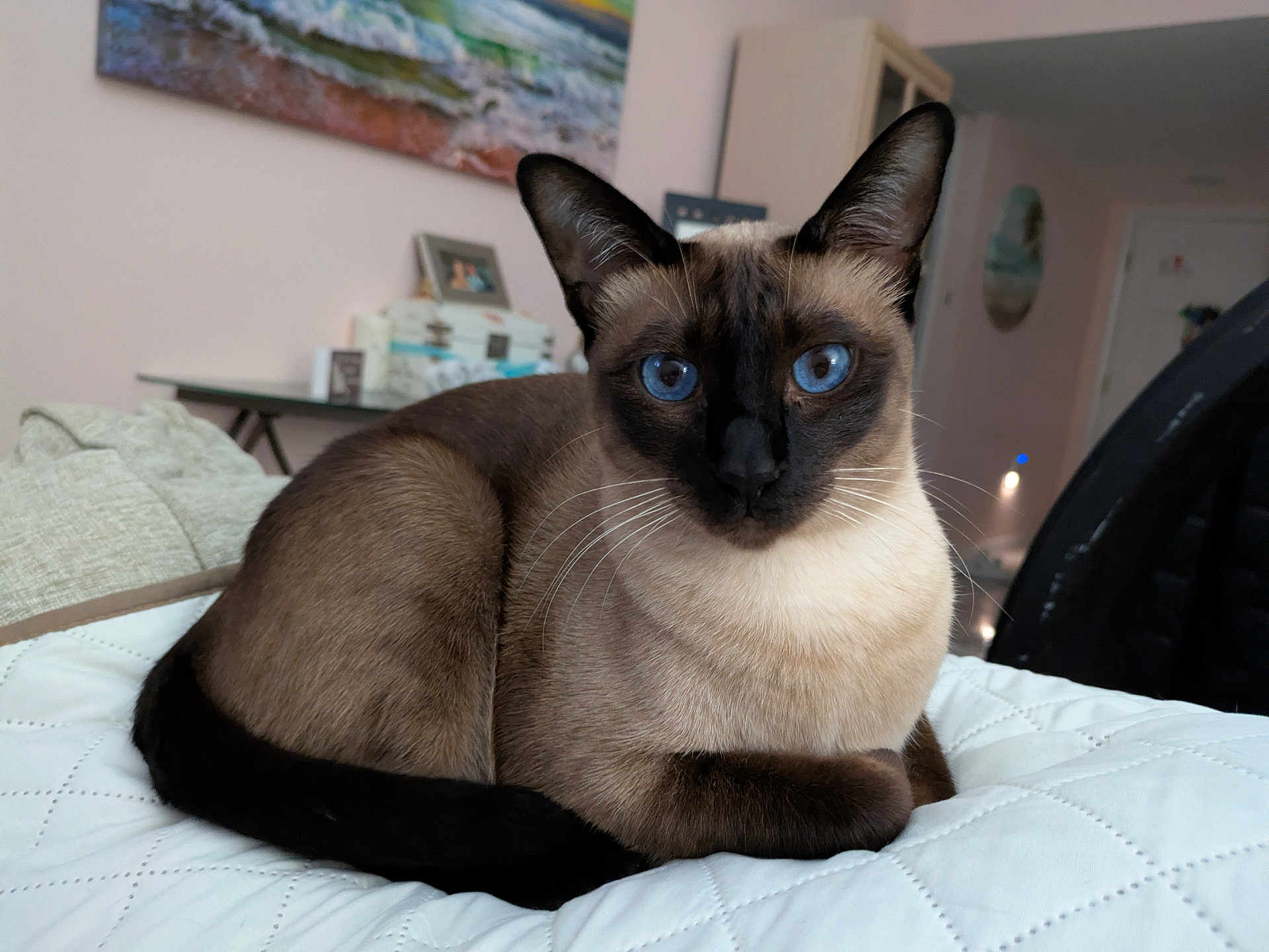 Elsa