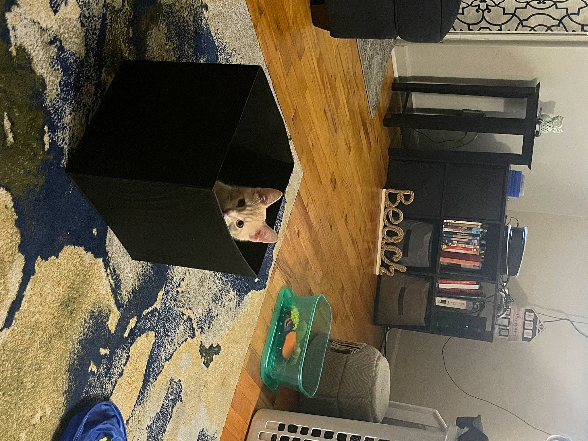 Butter is registered to the contest to win money with this photo: building, city, concrete, electronic_instrument, hardwood, house, landscape, machine, plywood, property, room, shadow, shelving, space, urban_design, wood