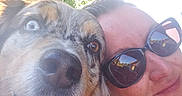 Oggy a rejoint le concours — aidez-le/la à gagner de superbes lots ! dog, person, selfie, outdoor, sunlight, smile, sunglasses, face, happy, pet, closeup, nature, leafy_background, animal, canine, portrait, summer, sunflare, friendship, casual