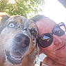 dog, person, selfie, outdoor, sunlight, smile, sunglasses, face, happy, pet, closeup, nature, leafy_background, animal, canine, portrait, summer, sunflare, friendship, casual
