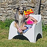 Oggy a rejoint le concours — aidez-le/la à gagner de superbes lots ! dog, child, white_chair, grass, stone_wall, outdoor, sunny, pink_clothing, blue_shorts, footwear, greenery, playing, pet, summer, smiling, happy, fun, emoji_overlay, casual, relaxing
