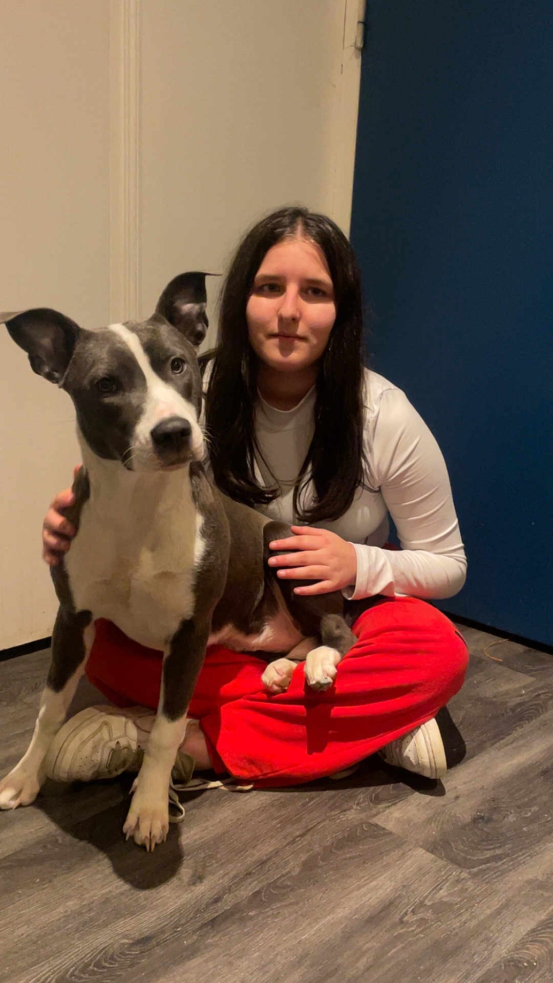 Nala a rejoint le concours — aidez-le/la à gagner de superbes lots ! dog, person, indoor, wood_floor, sitting, pet, white_shirt, red_pants, sneakers, gray_dog, portrait, long_hair, paw, door, blue_wall, flooring, human_face, animal_face, companionship, casual_clothing