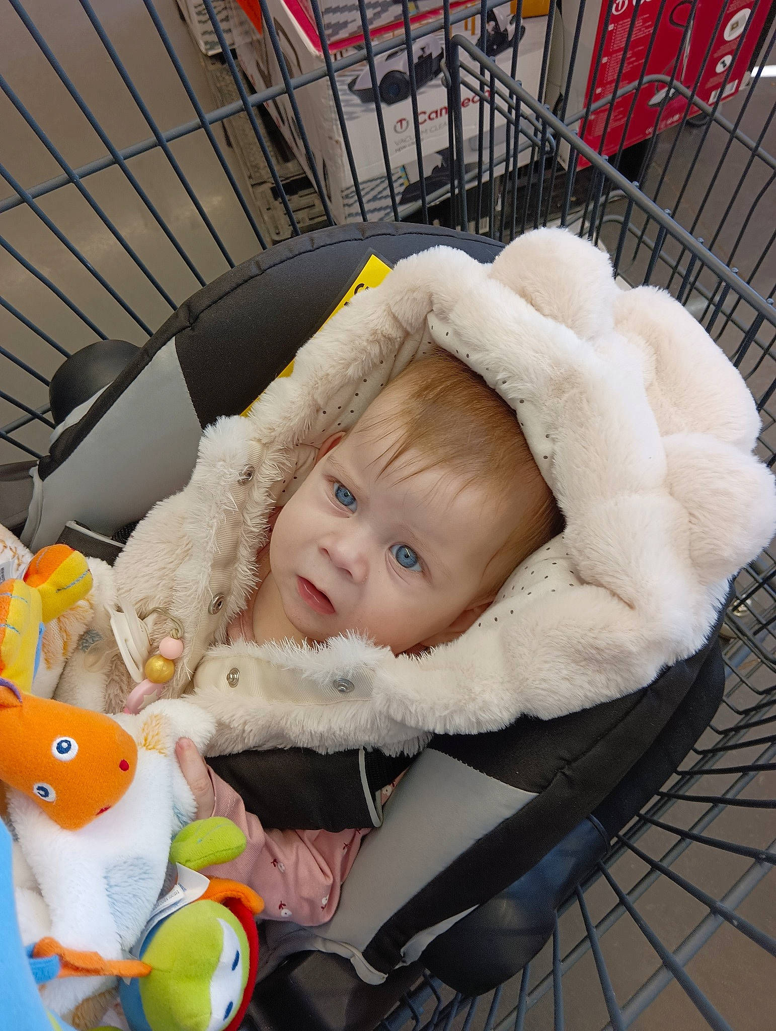 Eva a rejoint le concours — aidez-le/la à gagner de superbes lots ! baby, baby_carriage, baby_products, baby_safety, baby_toddler_clothing, baby_toys, car_seat, cheek, child, comfort, fashion_accessory, fun, fur, person, room, sitting, stuffed_toy, toddler, toy, winter