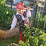 Anna joined the competition — help win amazing prizes! child, pirate_costume, garden, plants, greenery, wooden_planter, outdoor, daylight, costume, headwear, red_pants, white_shirt, vest, fence, nature, young_child, exploring, play, sunlight, leaves
