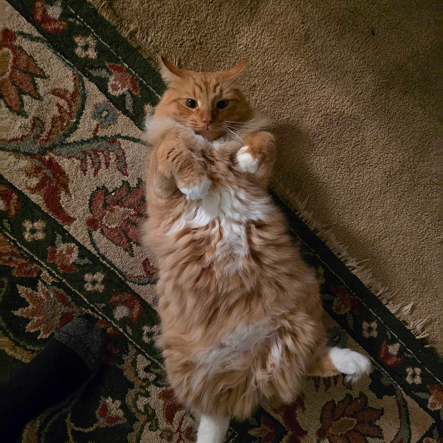 Seamus