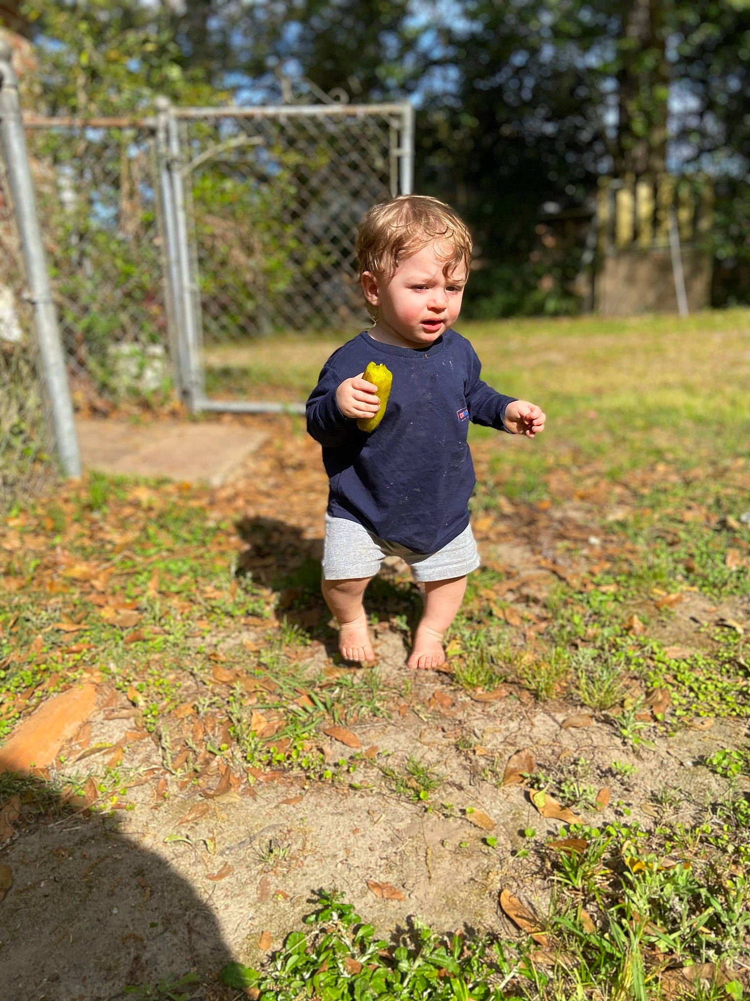 John Dayton is registered to the contest to win money with this photo: baby, baby_toddler_clothing, child, grass, grass_family, grassland, groundcover, happy, landscape, lawn, leg, leisure, people_in_nature, person, plant, recreation, shorts, soil, t_shirt, toddler