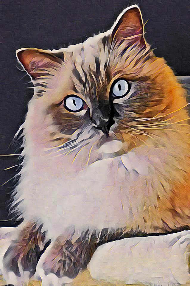 Jazzy