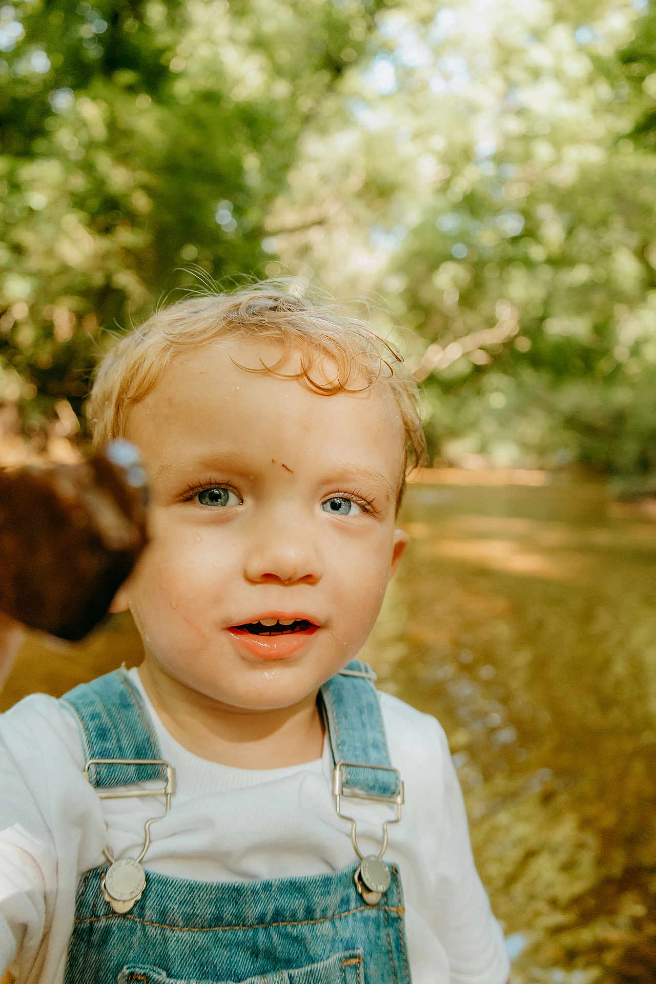 Jaxon