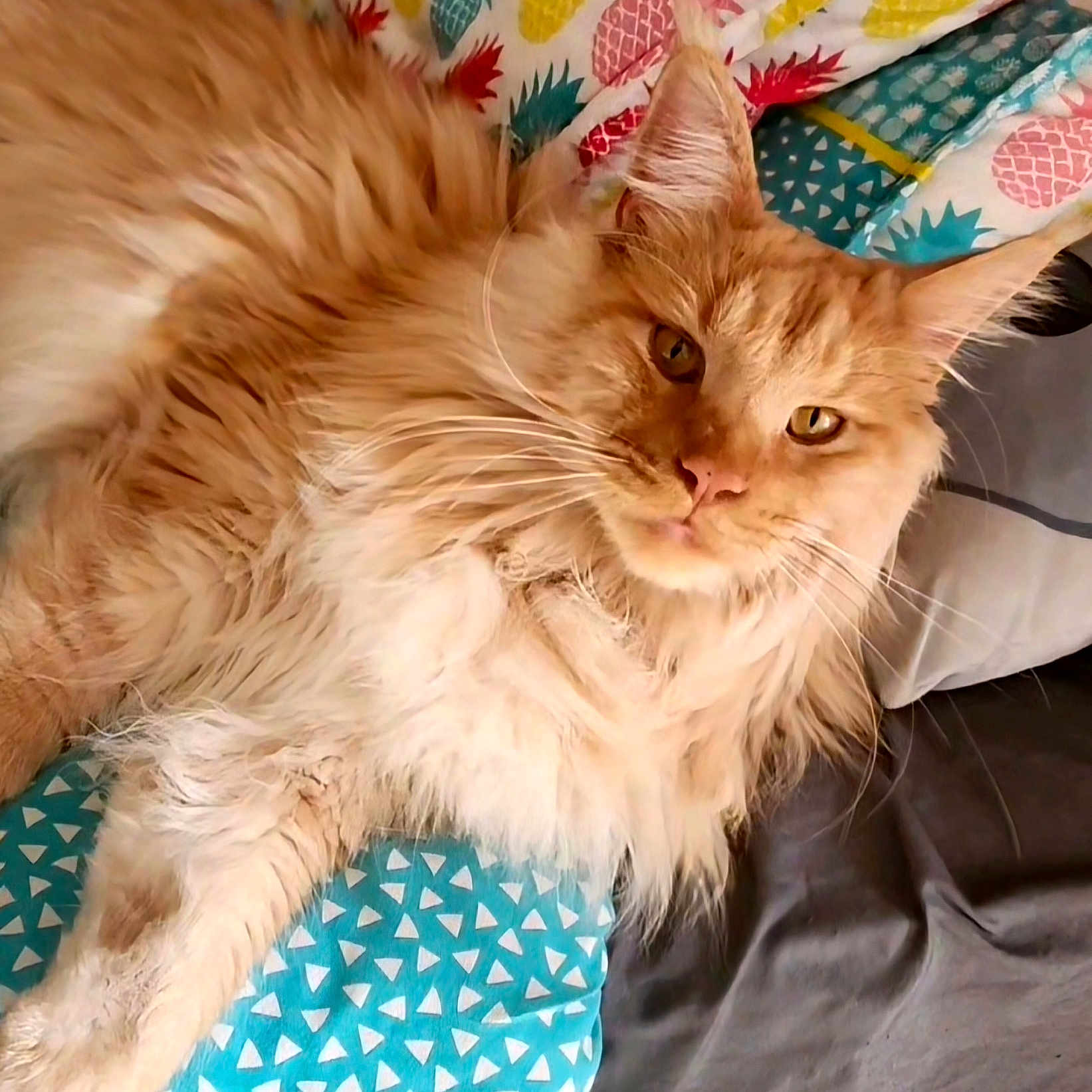 Tigrou