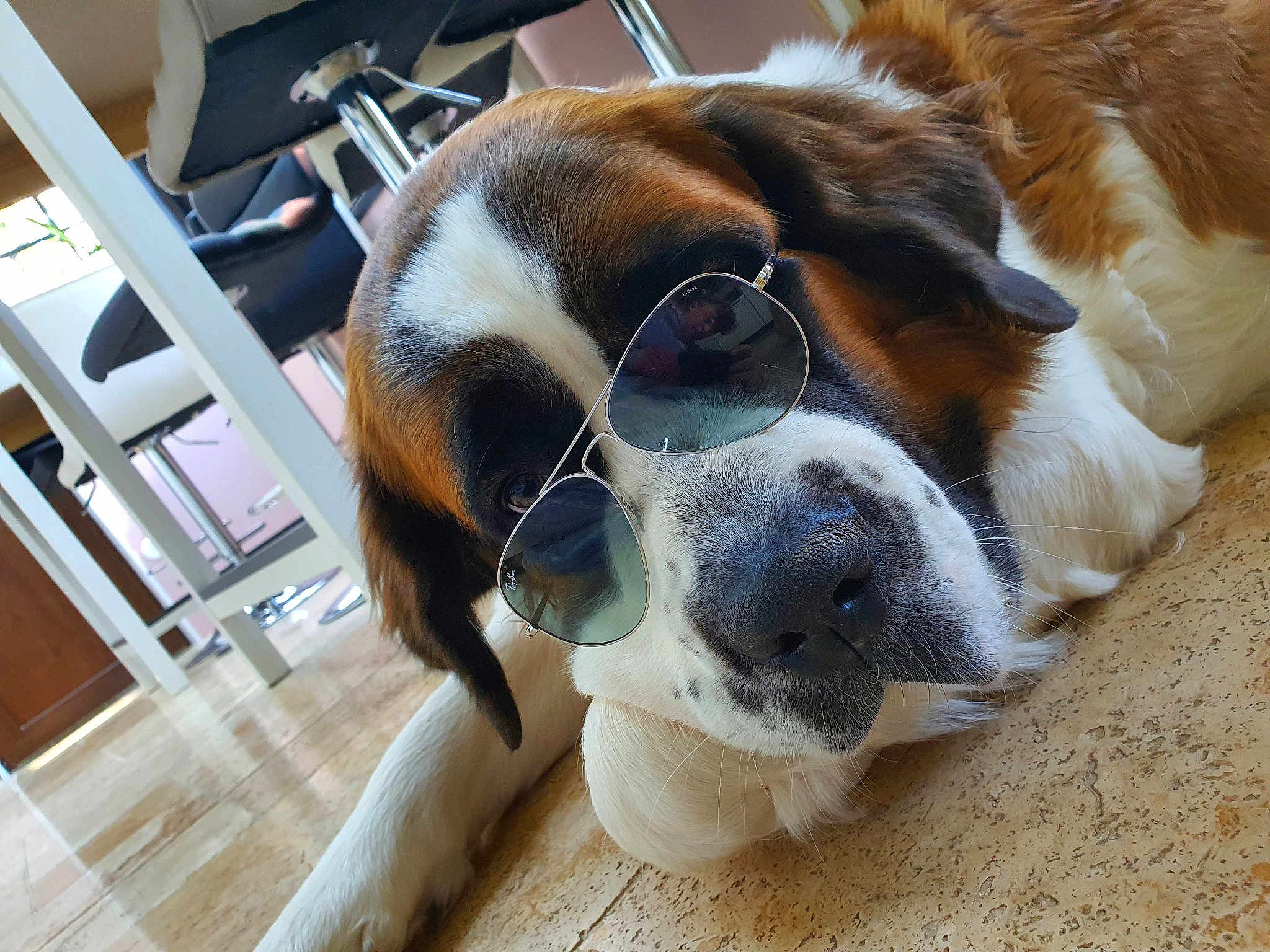 Jessie
