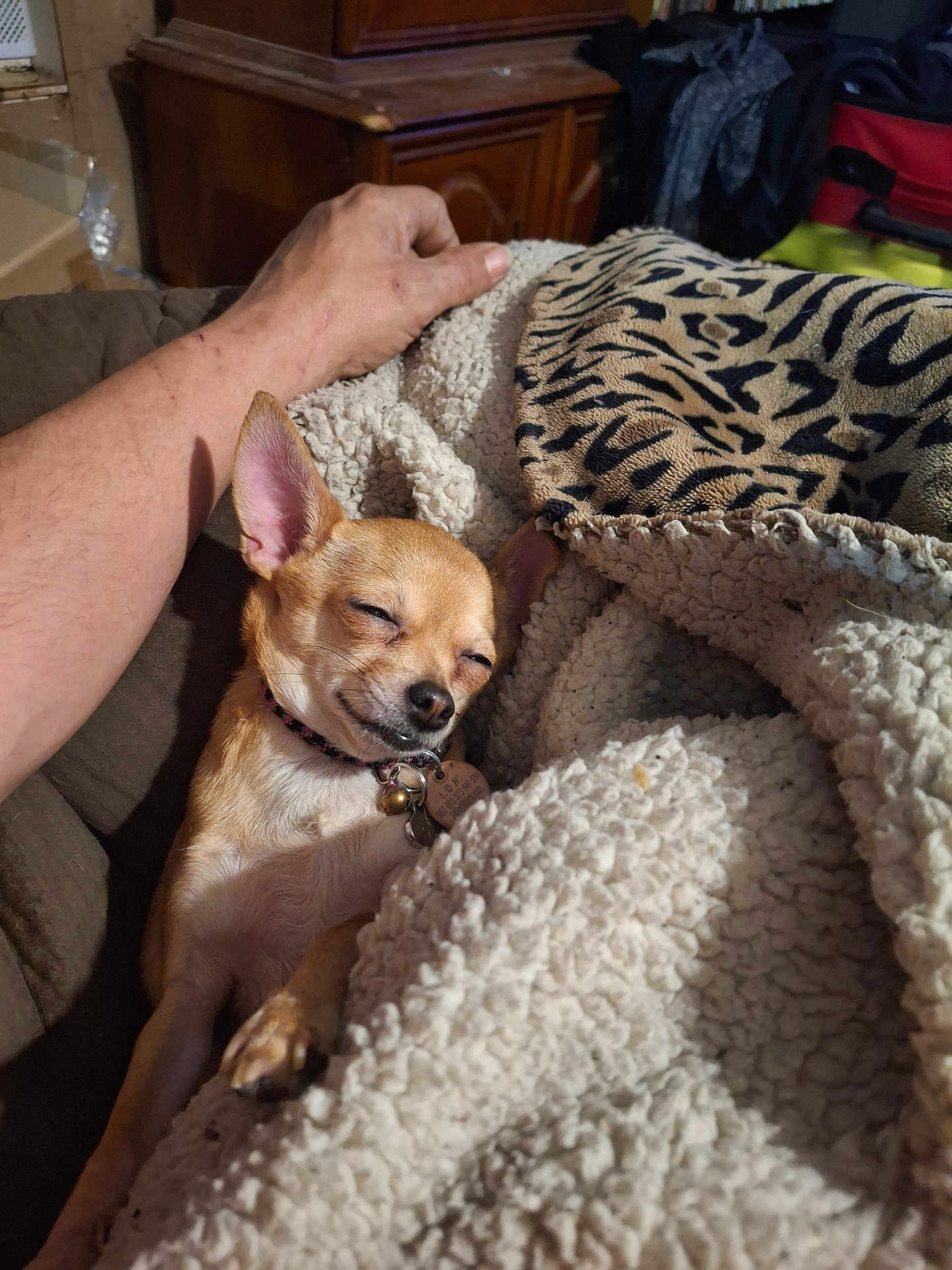 Peanut