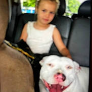Lucy is registered to the contest to win money with this photo: child, dog, white_dog, car_interior, seat, smiling_dog, tongue_out, young_girl, blurry, indoor, pet, animal, human, seatbelt, window, daylight, casual, cute, friendship, companionship