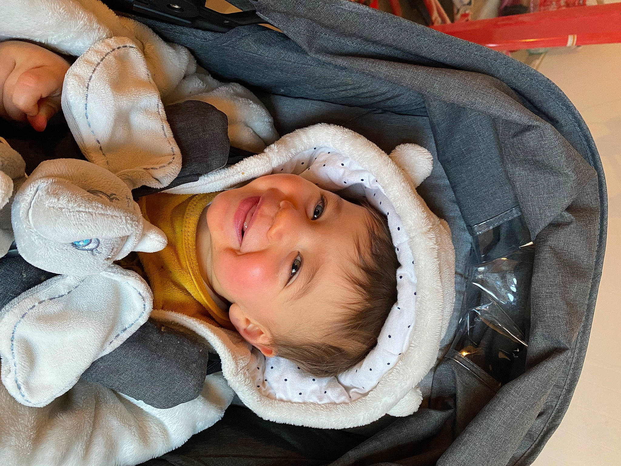 Lissandro participe au concours pour gagner de l'argent avec cette photo : auto_part, baby, baby_carriage, baby_products, baby_toddler_clothing, car_seat, cheek, child, comfort, happy, headgear, joy, laugh, linens, pattern, person, smile, toddler, tree, window