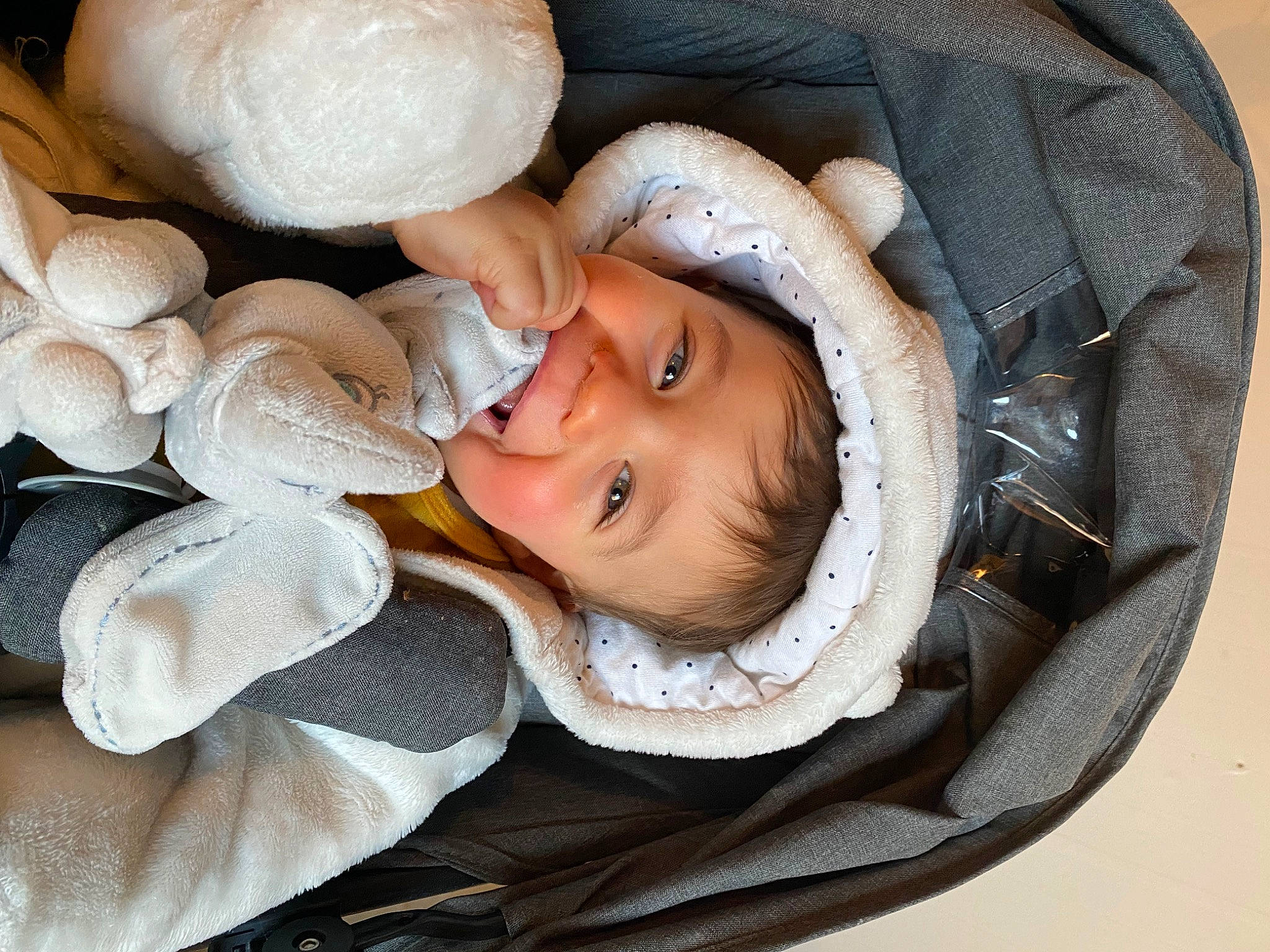 Lissandro participe au concours pour gagner de l'argent avec cette photo : baby, baby_products, bridal_accessory, child, comfort, eye, fashion_accessory, flash_photography, happy, hat, headgear, linens, person, petal, portrait_photography, sitting, smile, sun_hat, toddler, tree