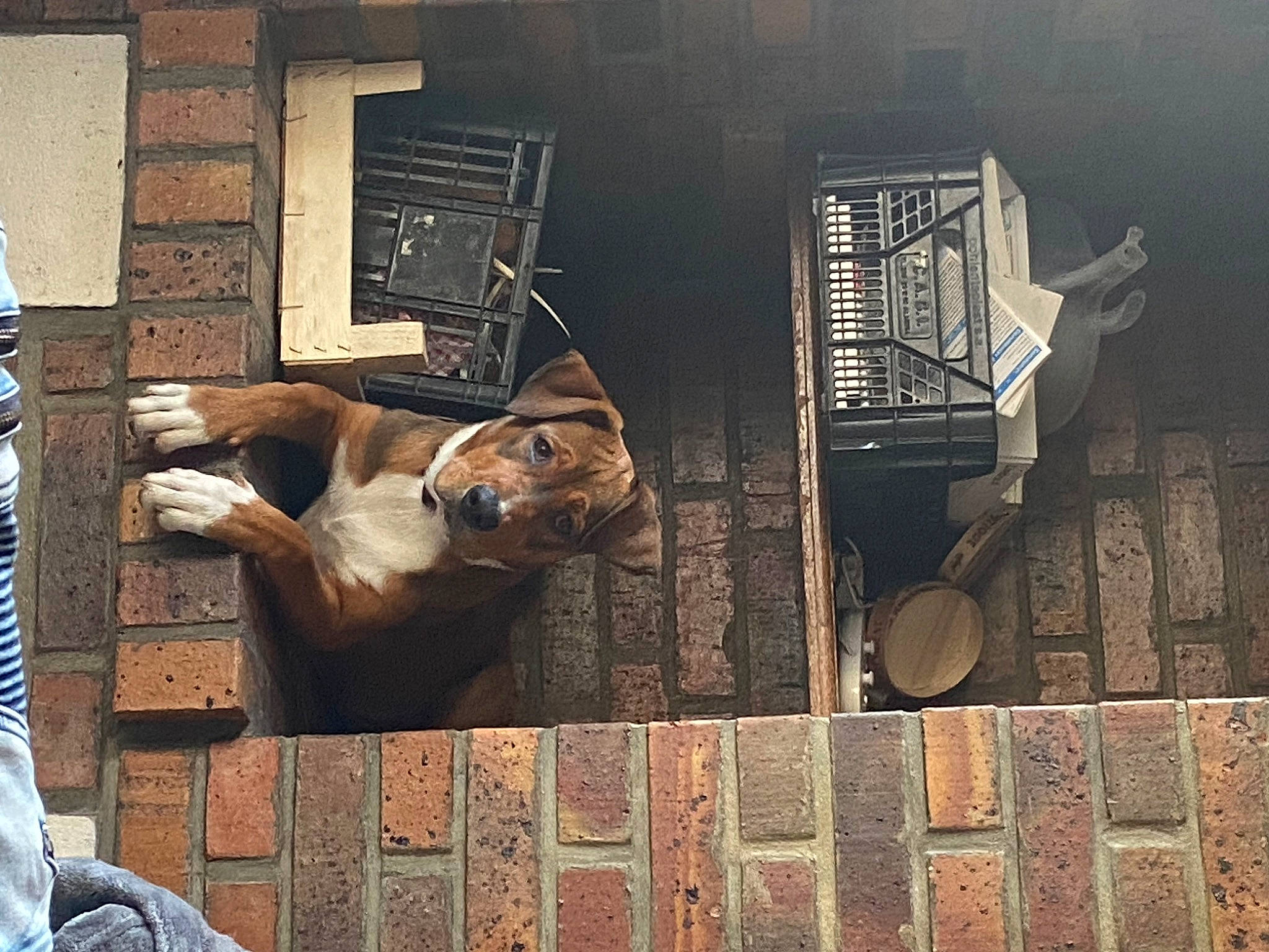 Ulka a rejoint le concours — aidez-le/la à gagner de superbes lots ! art, brick, brickwork, facade, fawn, font, metal, room, sitting, square, still_life_photography, street, tints_and_shades, visual_arts, wall, window, wood