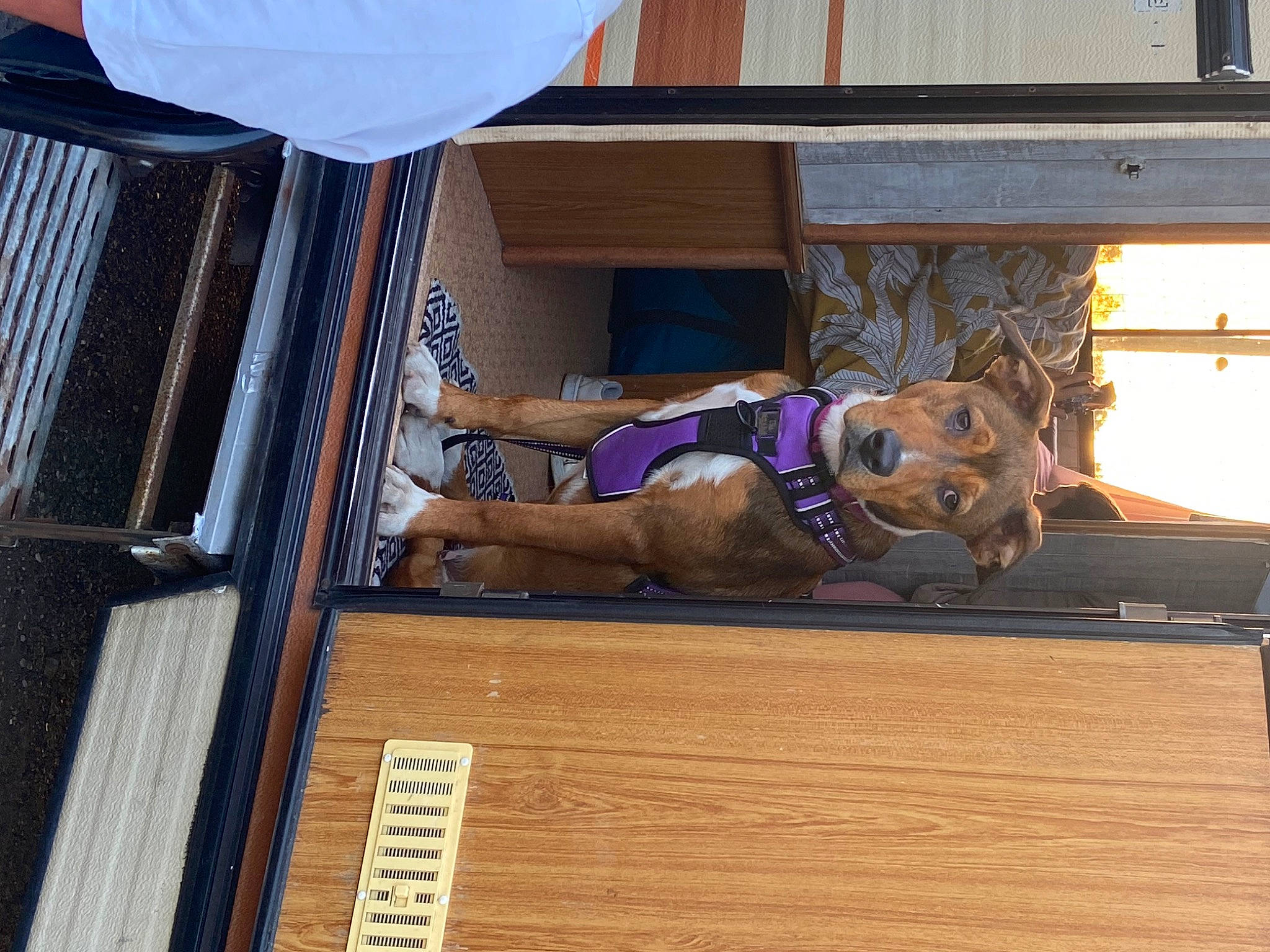 Ulka a rejoint le concours — aidez-le/la à gagner de superbes lots ! facade, flooring, hardwood, hat, house, human_leg, leisure, lumber, room, shorts, siding, thigh, window, wood, wood_stain