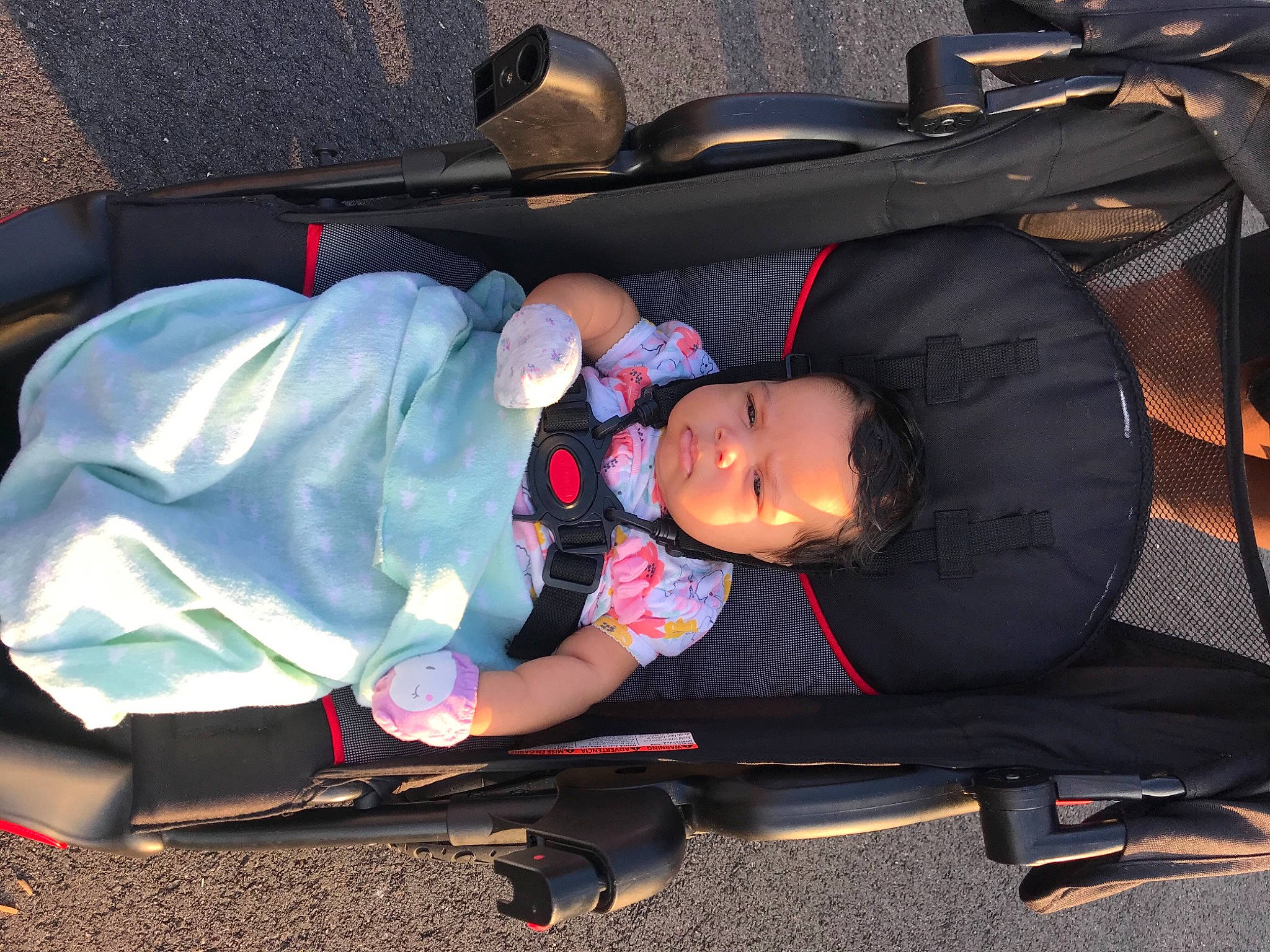 Embry is registered to the contest to win money with this photo: auto_part, automotive_exterior, baby, baby_carriage, baby_products, bumper, child, comfort, costume, fun, human_leg, lap, person, plant, recreation, sitting, tire, toddler, tree