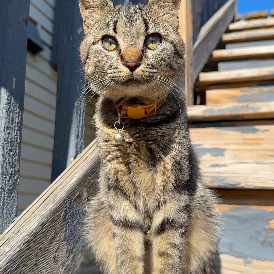 Coco