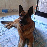 Dasko participe au concours pour gagner de l'argent avec cette photo :