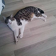 Robby participe au concours pour gagner de l'argent avec cette photo :