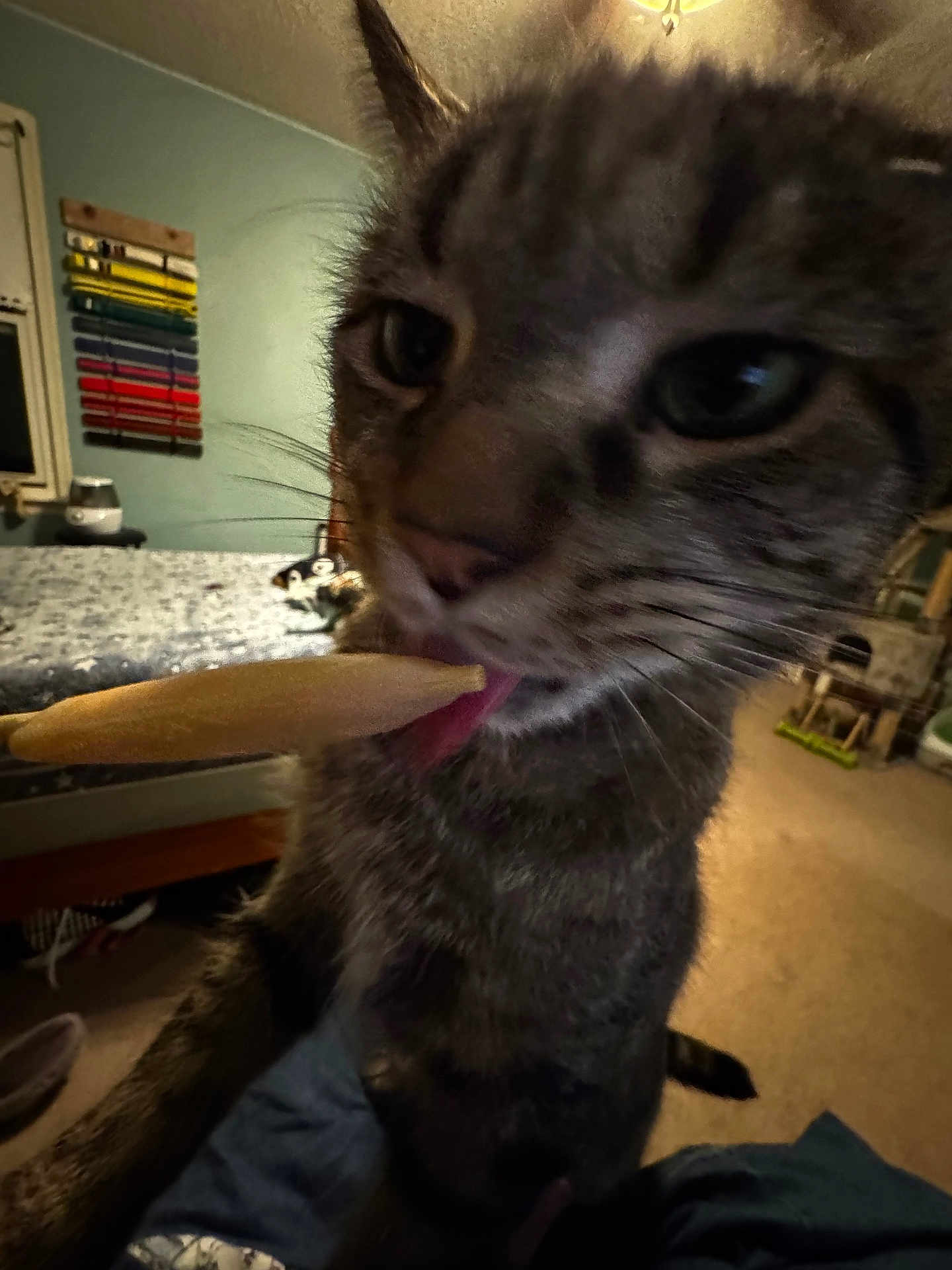 Milo