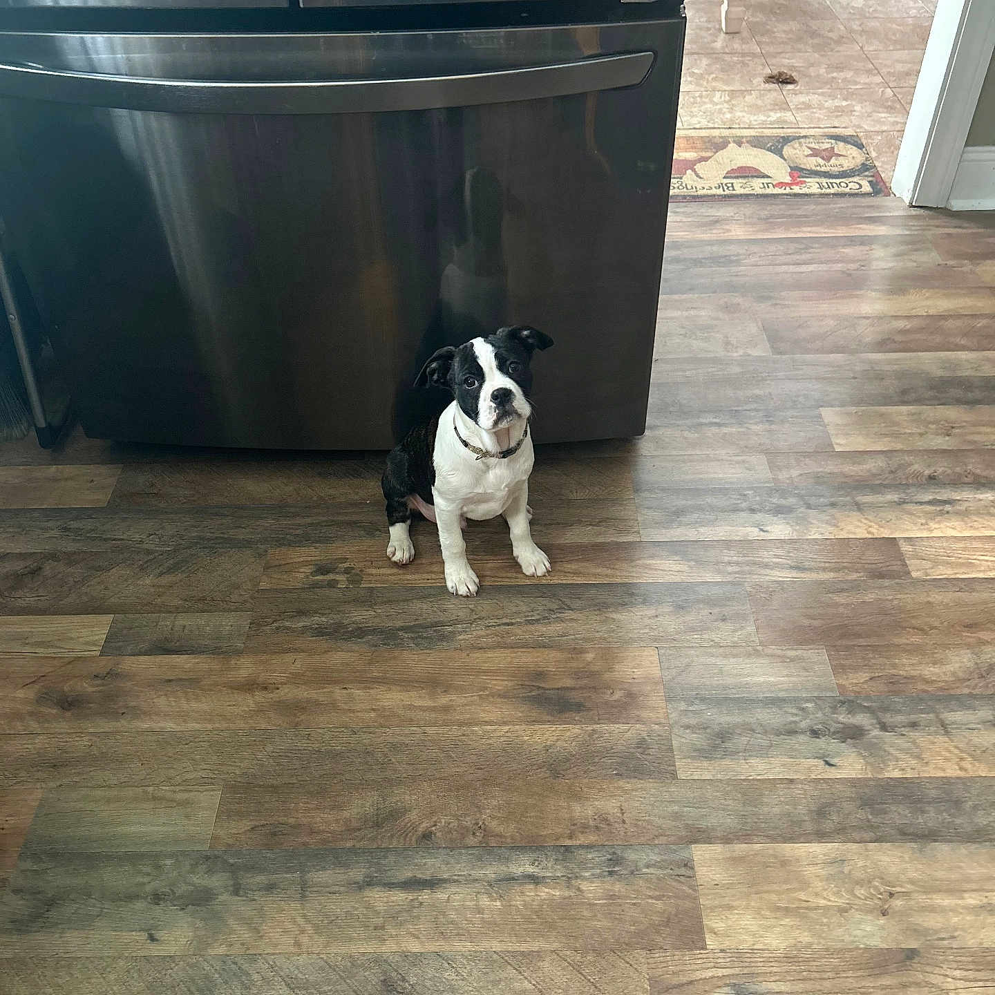 Wilbur