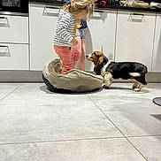 Azia participe au concours pour gagner de l'argent avec cette photo : basset_hound, blonde_hair, cabinet, casual_clothing, child, children, countertop, curious, dog, dog_bed, floor, indoor, kitchen, pet, pink_pants, playing, puppy, short_hair, striped_shirt, tile_floor