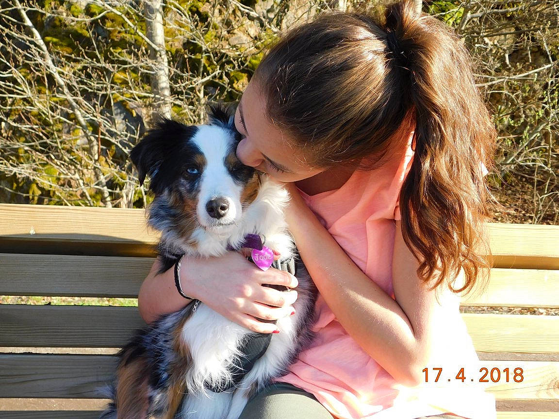 Jade a rejoint le concours — aidez-le/la à gagner de superbes lots ! carnivore, companion_dog, dog, dog_breed, eyewear, fawn, fun, fur, grass, happy, leisure, miniature_australian_shepherd, plant, puppy_love, sitting, sporting_group, sunglasses, terrier, toy_dog, working_dog