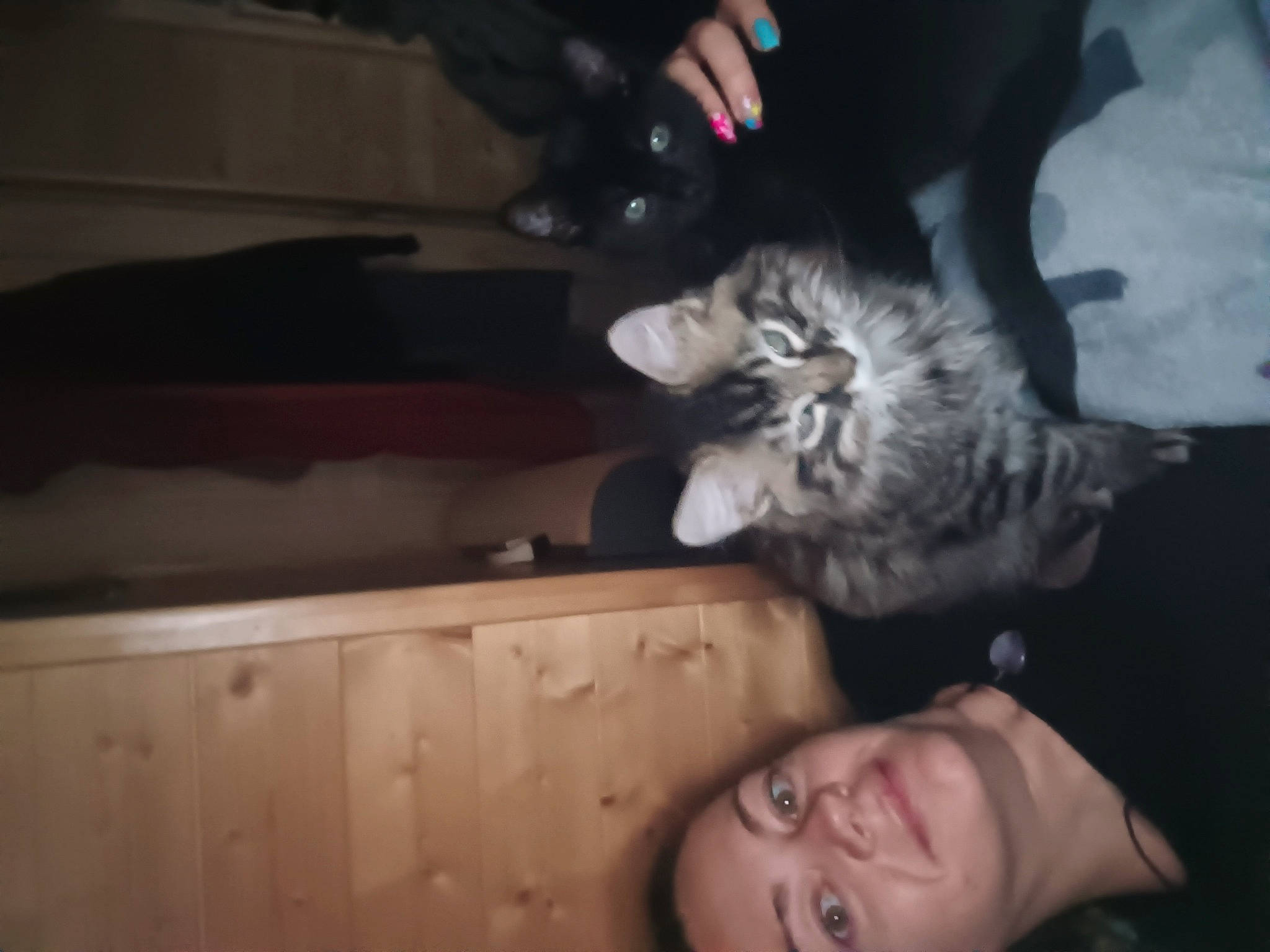 Luigi is registered to the contest to win money with this photo: black, carnivore, cat, comfort, darkness, dog_breed, domestic_short_haired_cat, felidae, flash_photography, flesh, fun, fur, gesture, mammal, paw, small_to_medium_sized_cats, smile, tail, vertebrate, whiskers