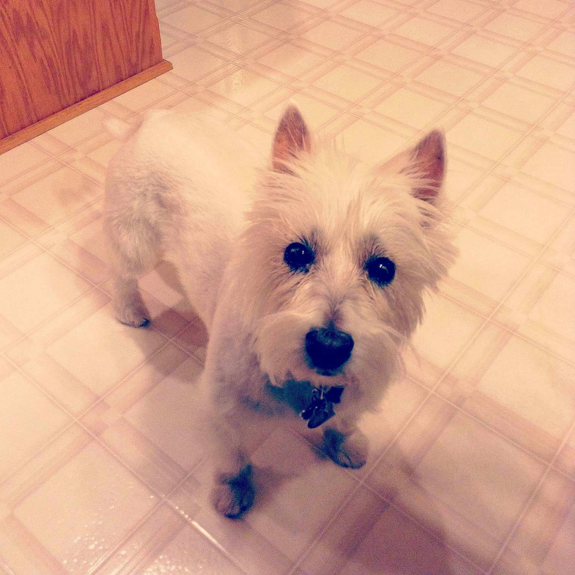 Chloe joined the competition — help win amazing prizes!