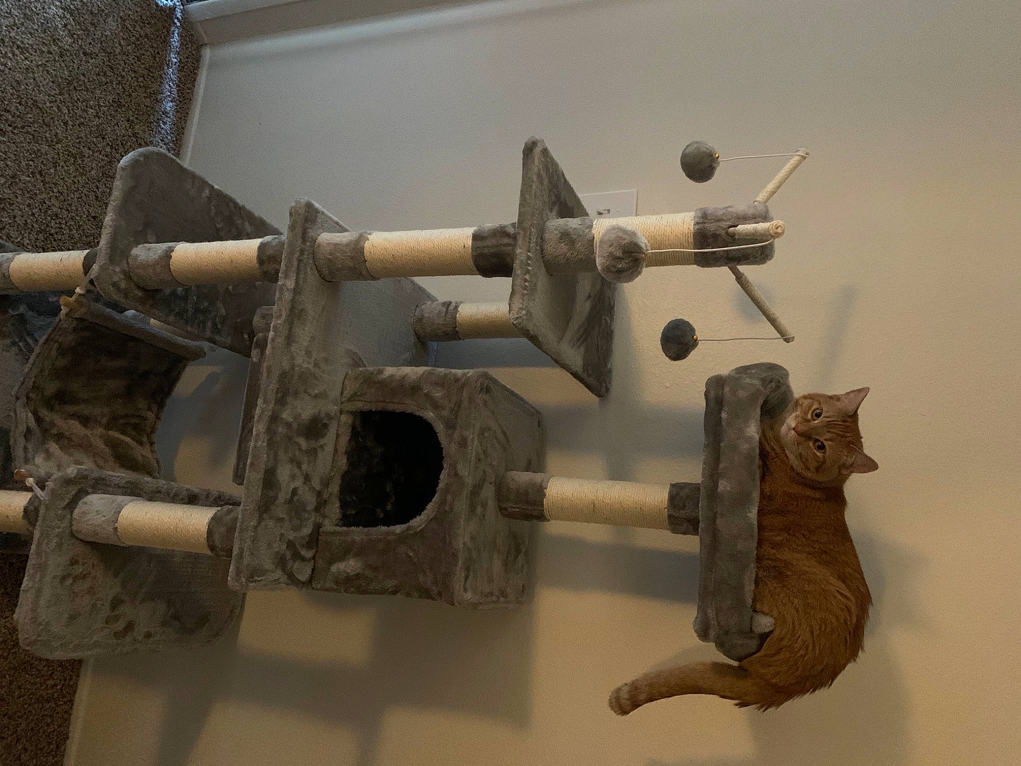 Raja joined the competition — help win amazing prizes! auto_part, cannon, cylinder, engineering, gas, gun_turret, machine, metal, nickel, pipe, plumbing, wood